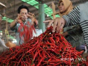 Harga cabai makin melorot pasca panen