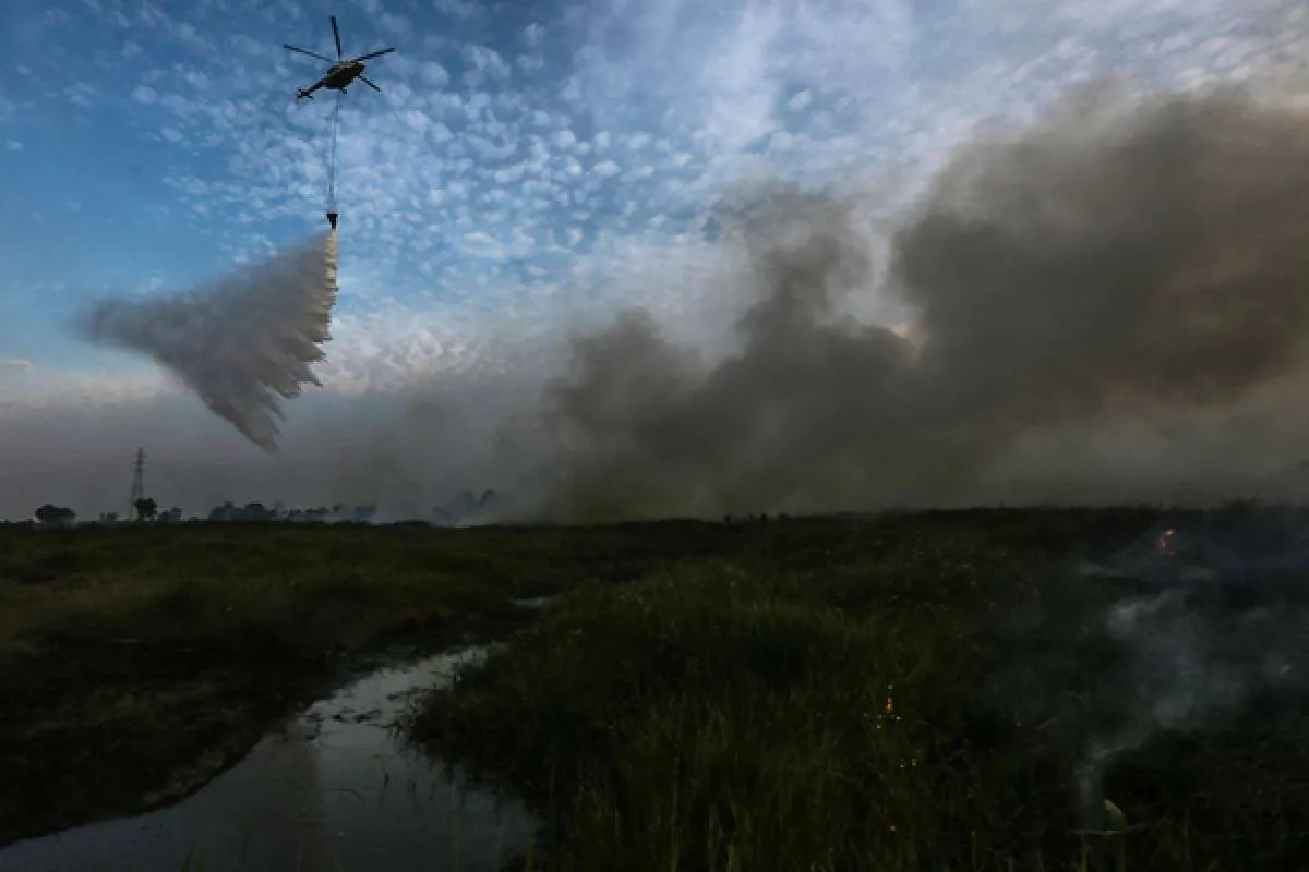 Kabut asap menebal, kualitas udara di Palembang sempat menyentuh level berbahaya