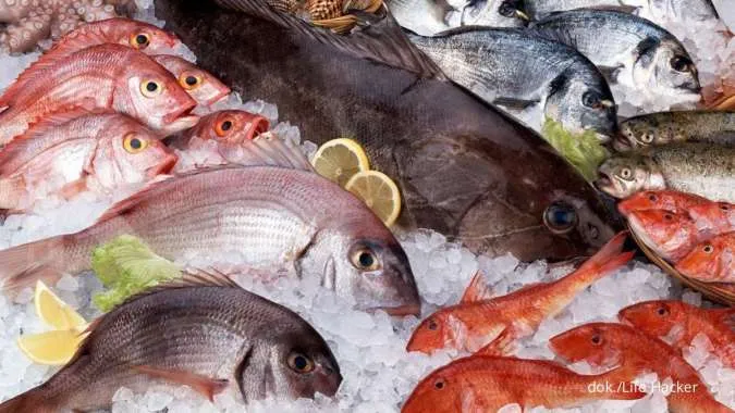 ikan mentah yang akan diolah menjadi hidangan lezat bernama Ikan Kakap Bakar Aroma Kiwi