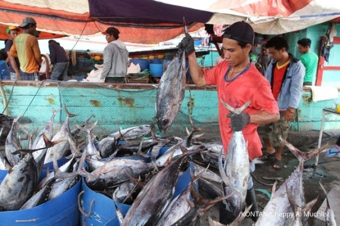 Harga ikan turun efek penanganan illegal fishing 