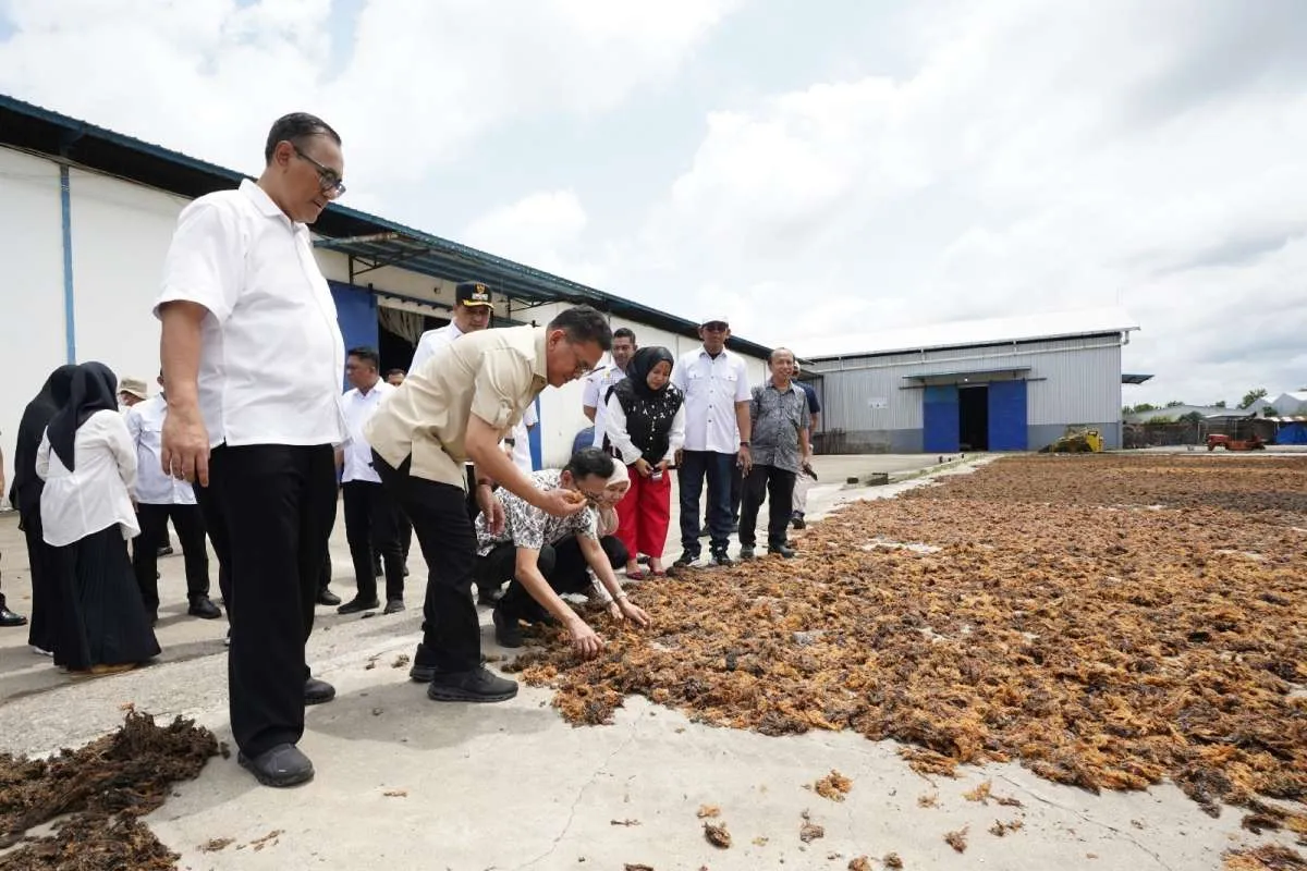 Mendag Lepas Ekspor Rumput Laut Senilai Rp 1,7 Miliar ke Tiongkok