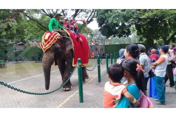 WisataSurabaya - Kontan Native Online