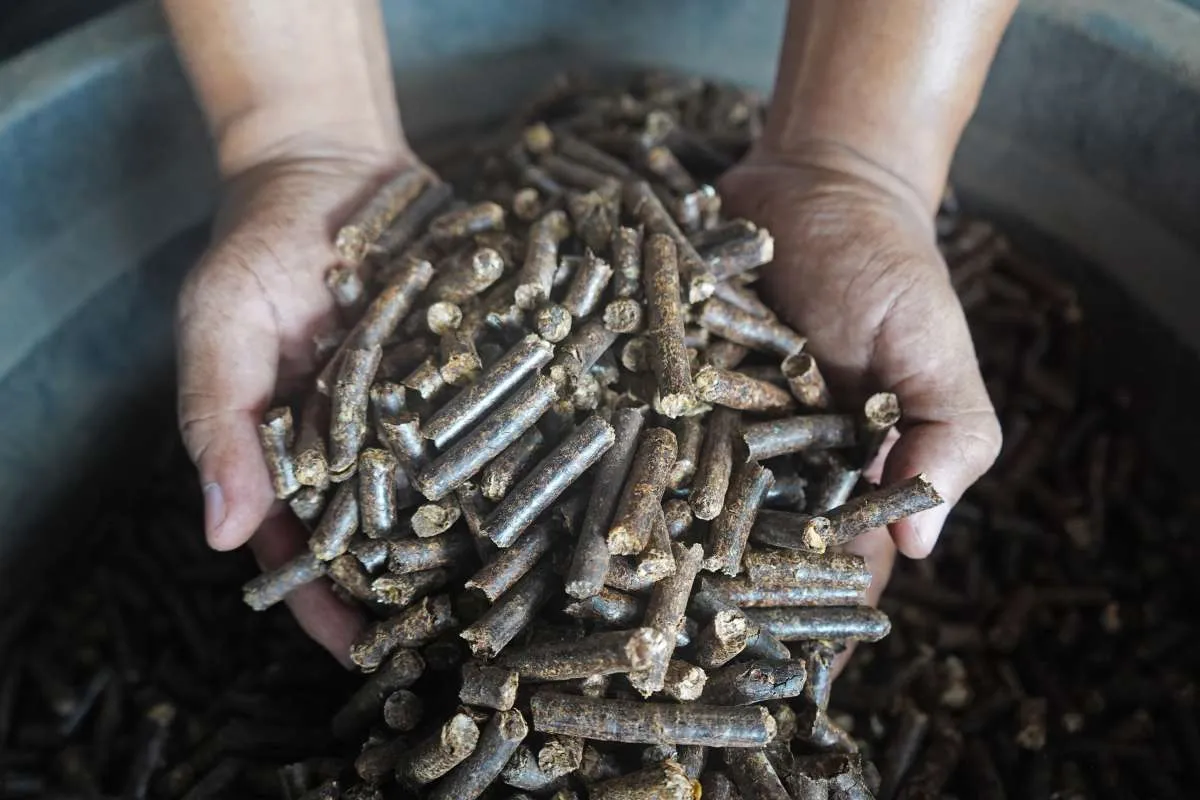 Pengusaha Soroti Black Campaign Wood Pellet, Ungkap Tantangan & Peluang Biomassa