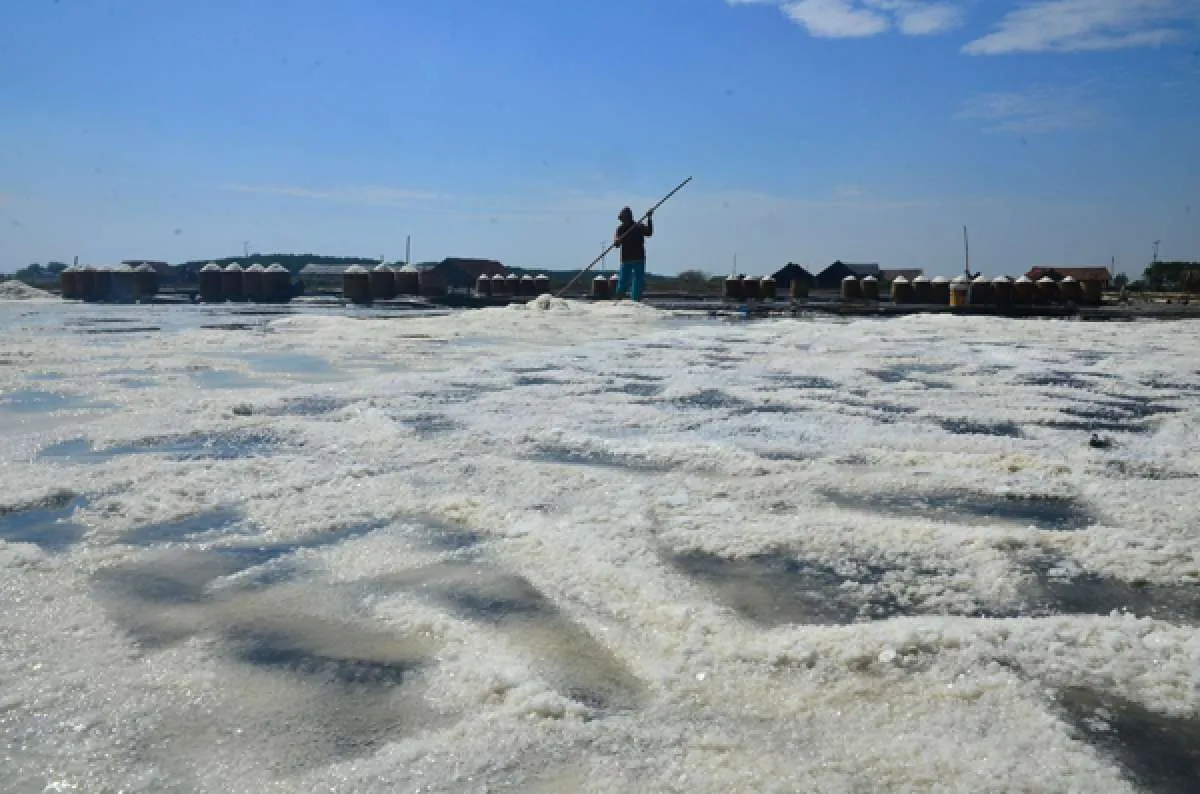 KKP jamin beleid turunan UU Cipta Kerja akan melindungi petambak garam