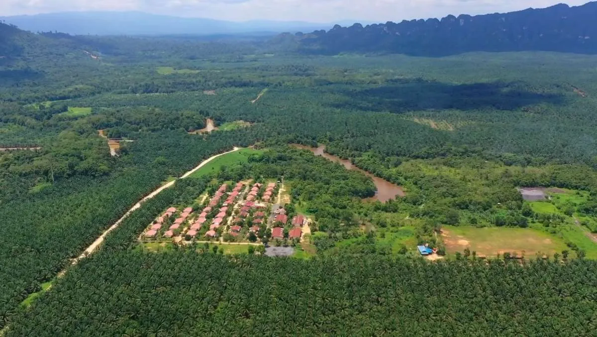 Teladan Prima Agro (TLDN) Akan Bagikan Dividen Sebesar Rp 175,37 Miliar