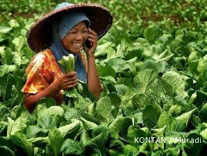 Eksportir sayur dan buah menuai berkah dari bencana Jepang