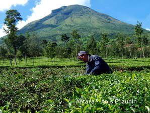 Indonesia Komitmen Bangun Sektor Agrikultur