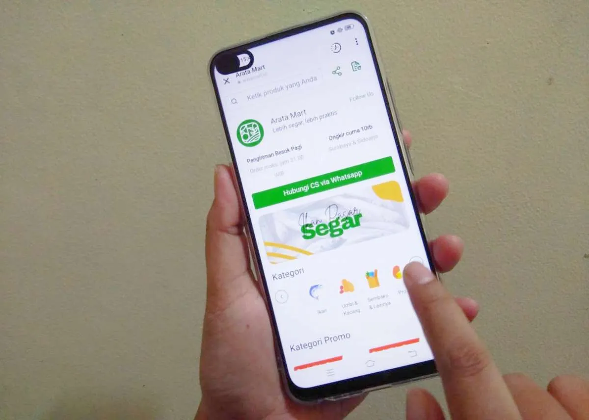 Bisnis start up e-grocery semakin segar selama pandemi