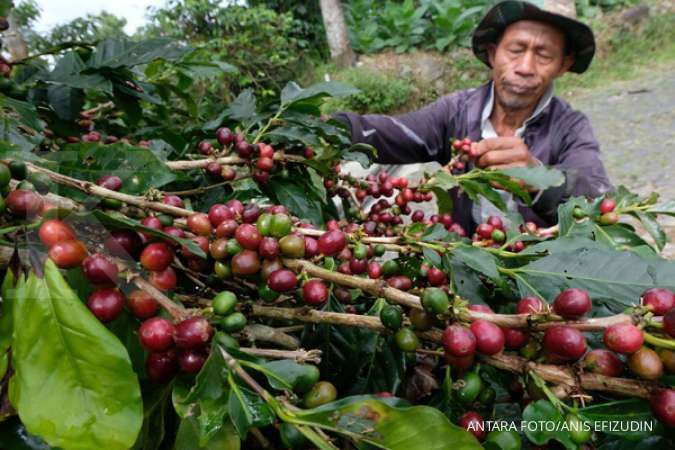 Kadin: Indonesia Bisa Optimalkan Ekspor Kopi dan Cokelat ke Korea Selatan