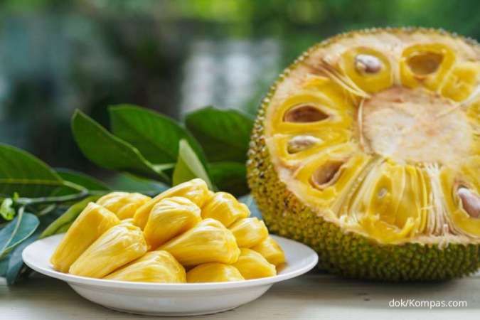 Manfaat buah nangka untuk kesehatan tubuh