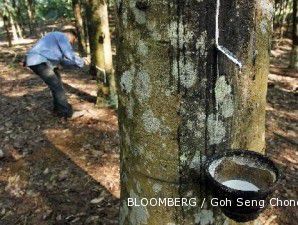 Pasokan dari Thailand terpangkas, harga karet terus menanjak