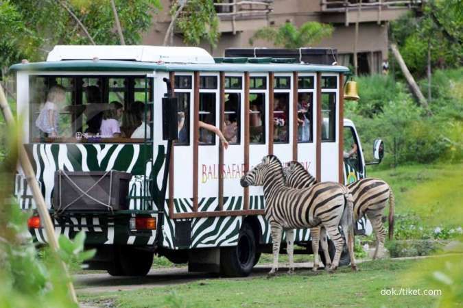 Tiket Bali Safari & Marine Park Hanya Rp99.750 Di Tiket.com