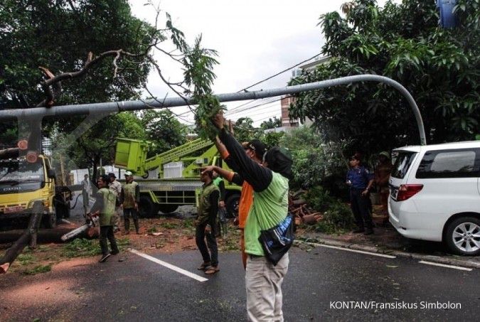 Peringatan dini BMKG: Hari ini waspada angin kencang dan hujan lebat di 13 provinsi