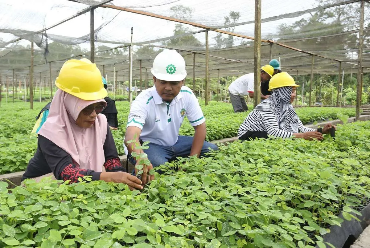 BJA Group Wujudkan Komitmen Industri Wood Pellet Indonesia Bebas Deforestasi