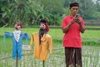 Penyebab Kegagalan Digitalisasi Pertanian