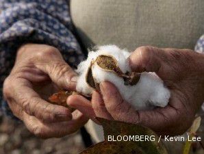 Lahan berkurang, Pproduksi kapas nasional diperkirakan tak sampai 33.000 ton