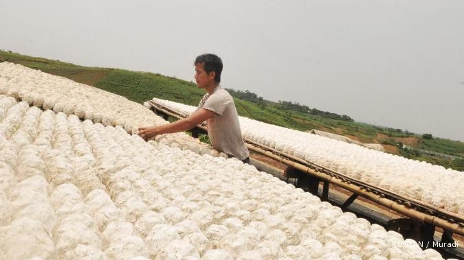 Inilah peluang bisnis bagi petani singkong