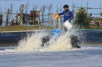 SCI Dukung Sertifikasi Cs-137, Tekankan Skema Transparan