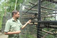 Libur Lebaran 2026: 6 Destinasi Bogor Ini Jaminan Liburan Memukau!