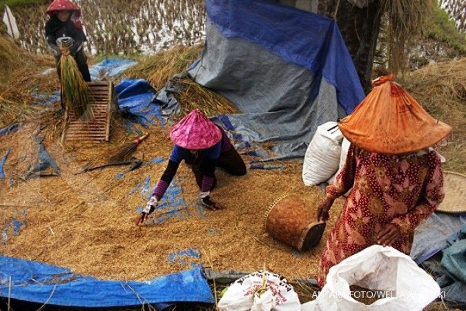 Masuki panen raya, Bulog maksimalkan serapan gabah