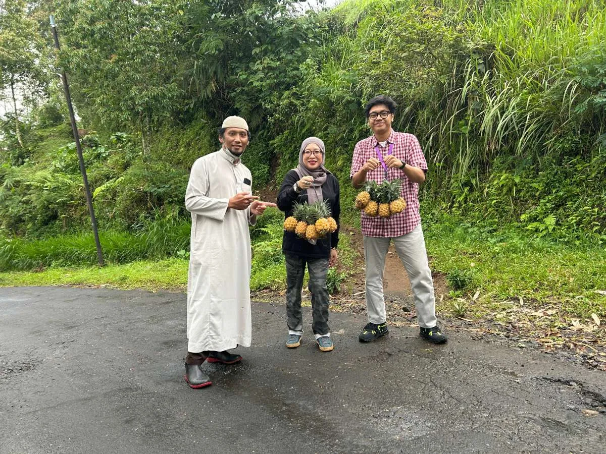 NanasQu Binaan Pertamina Gandeng 900 Petani Lokal Tembus Pasar Ekspor