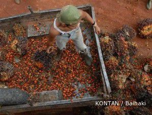 CPO melaju ke level tertinggi sejak 2 Februari 2011