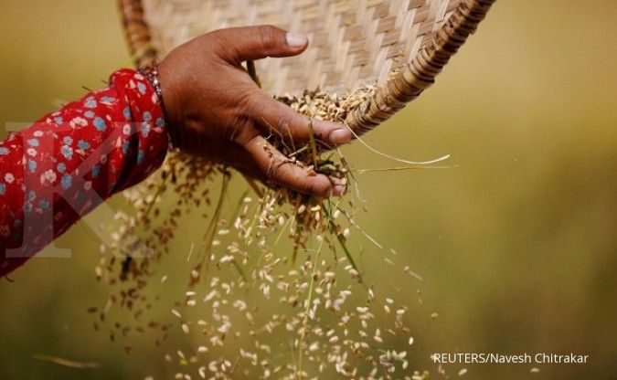 Mentan blusukan serap gabah petani