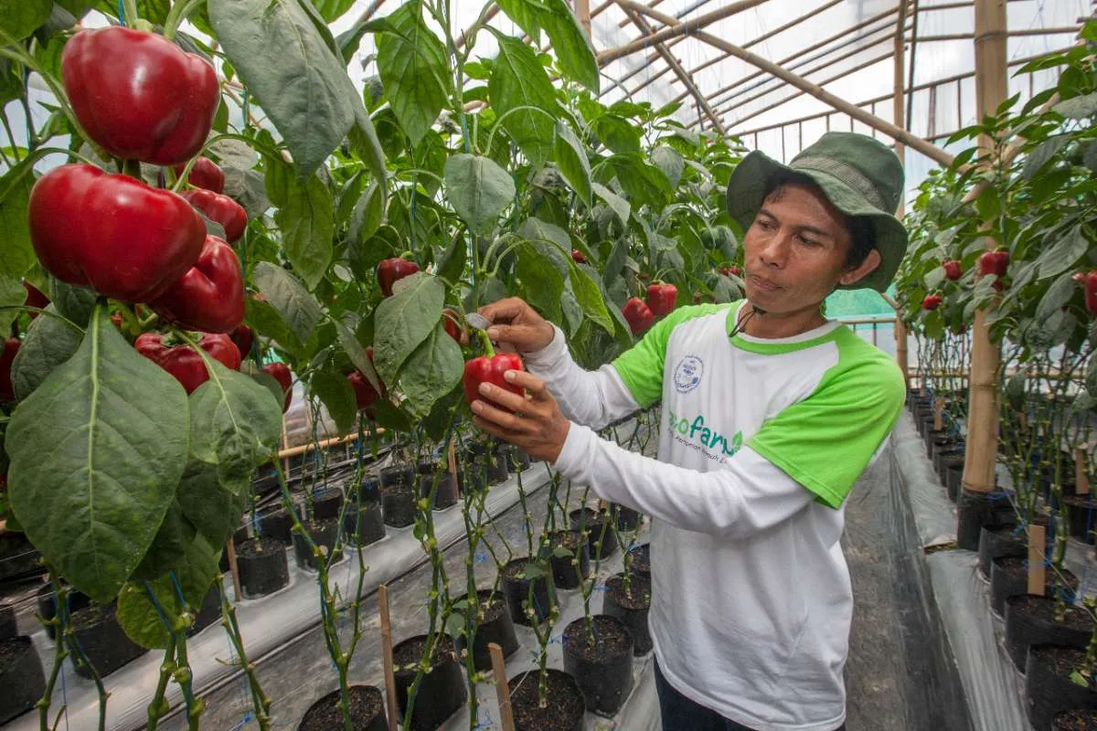 Danone Indonesia gencar berkolaborasi mengembangkan Koalisi Air Indonesia