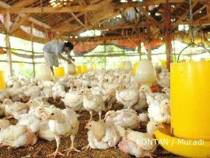 Wow, saham CPIN melaju ke level tertinggi dalam 20 tahun terakhir