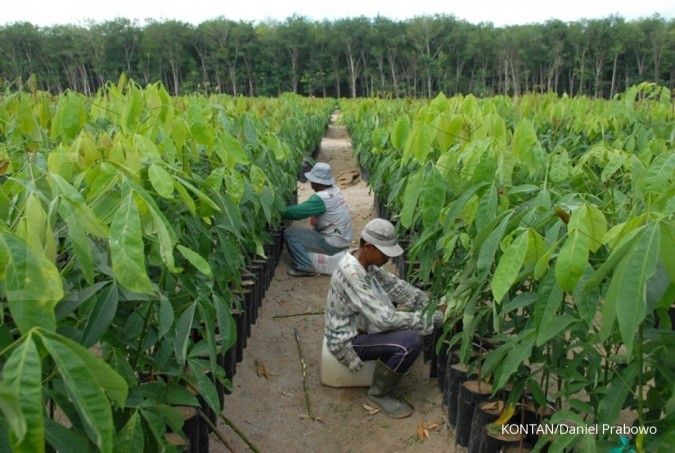 Bakrie Plantations menargetkan produksi bisa naik hingga 10%
