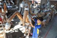 Aji Baru Pendorong Kredit Usaha Rakyat