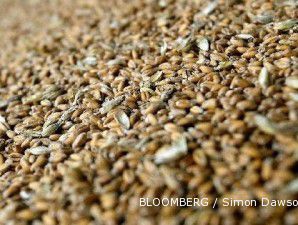 Harga gandum stabil, rata-rata harga tepung terigu di September turun tipis