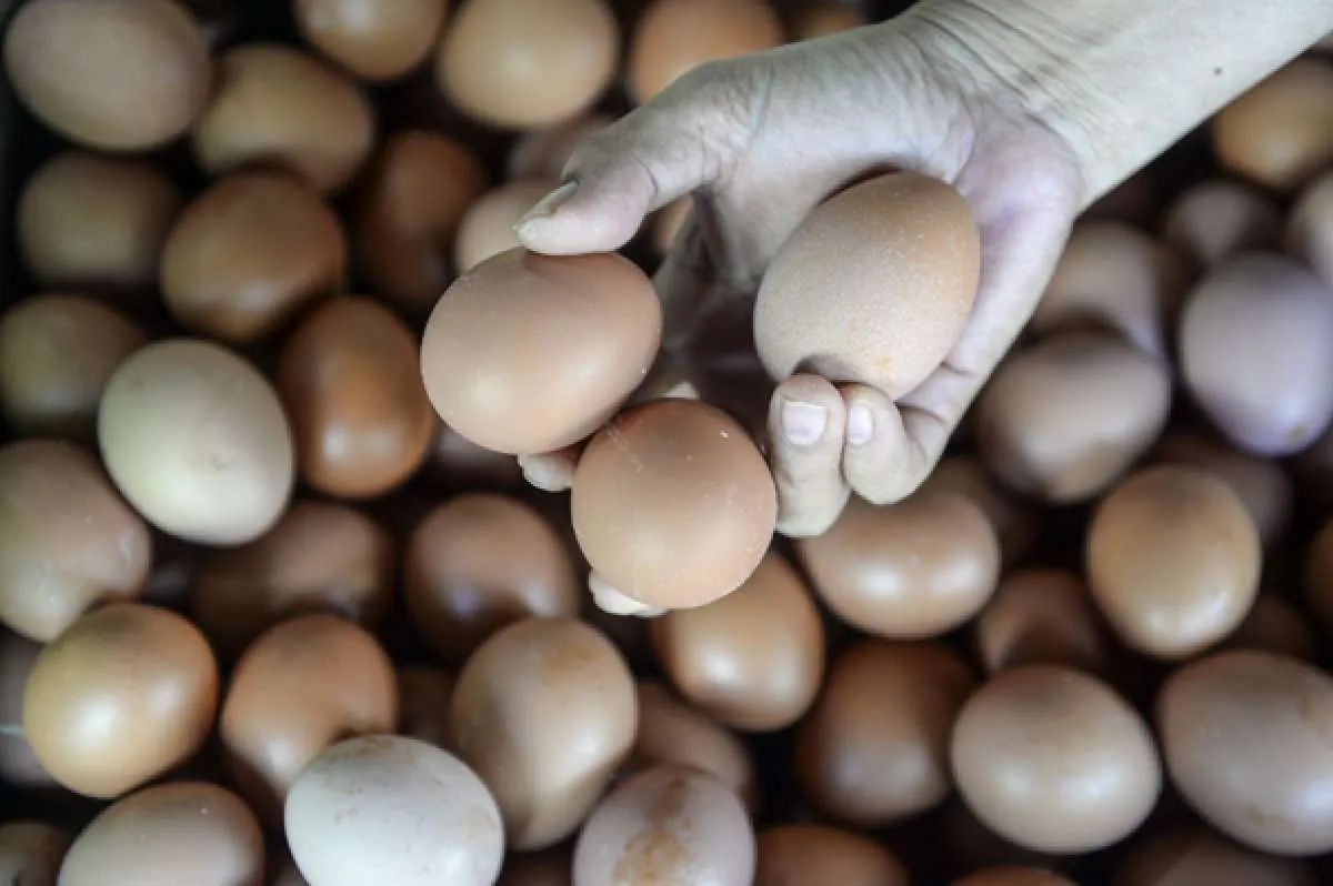 IKAPPI Sebut Harga 3 Komoditi Pangan Ini Masih Tinggi Pasca Libur Nataru