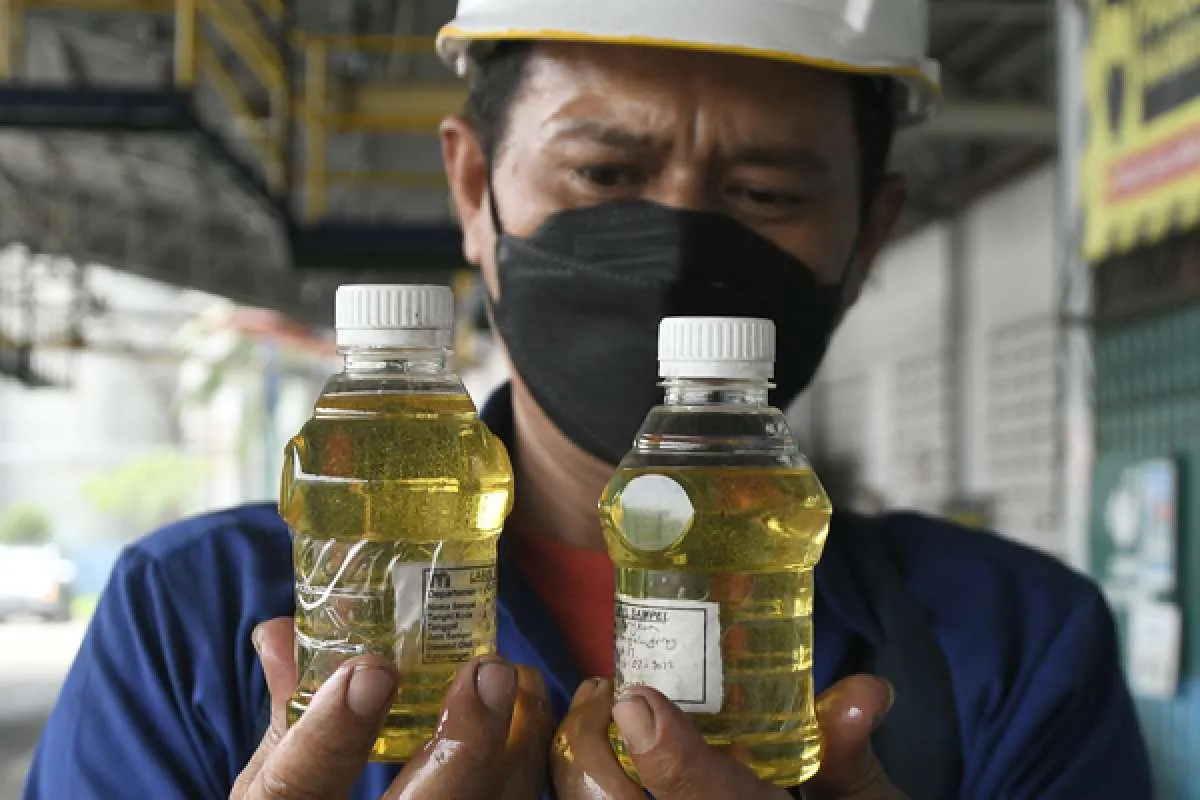 Soal Tagihan Selisih Harga Minyak Goreng, Ini Penjelasan BPDPKS