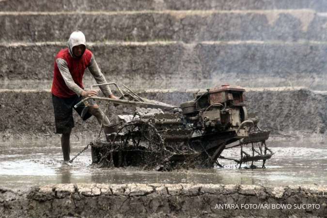 Tak Cukup Cetak Sawah, Papua Perlu Perkuat Hilirisasi Pangan Lokal