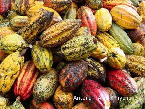 Penerapan BK Geliatkan 10 Industri Pengolahan Kakao yang Mati Suri
