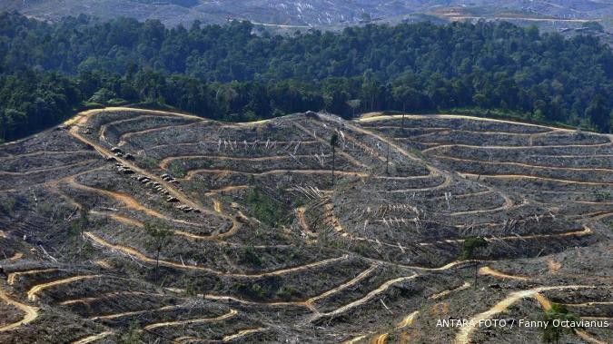 Pemerintah akan rehabilitasi hutan 73.401 hektare