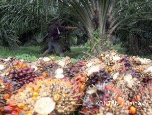 Konferensi kelapa sawit keenam dibuka hari ini di Bali