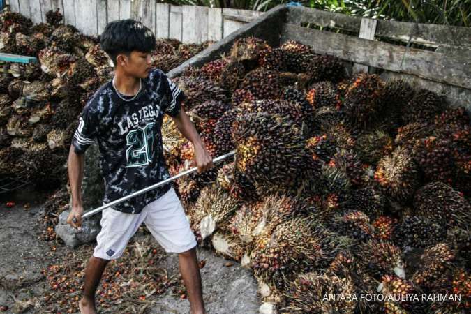 Ditopang Kenaikan Produksi, GAPKI Optimis Industri Sawit Tetap Tumbuh di 2026