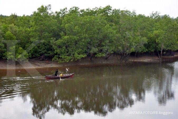 Perbaikan mangrove ditargetkan rampung di 2045