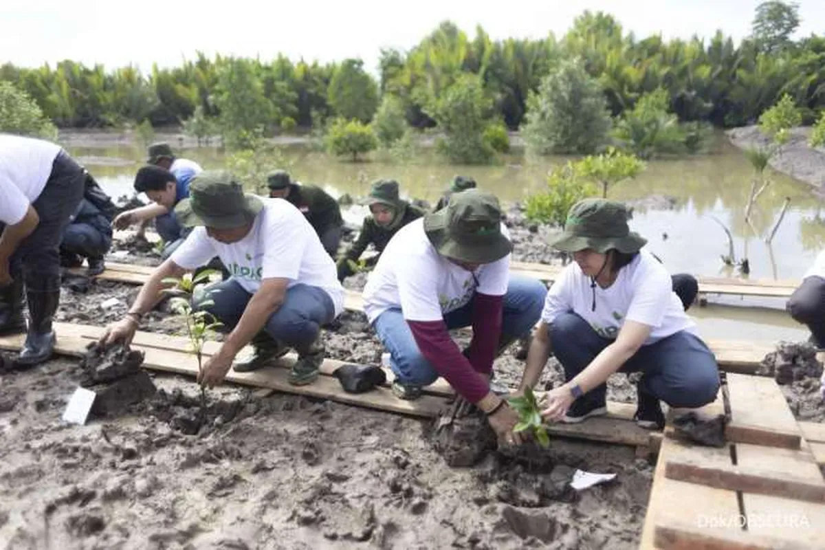 Indika Energy Siapkan Belanja Modal US$ 21 Juta Bangun Pabrik Wood Pellet