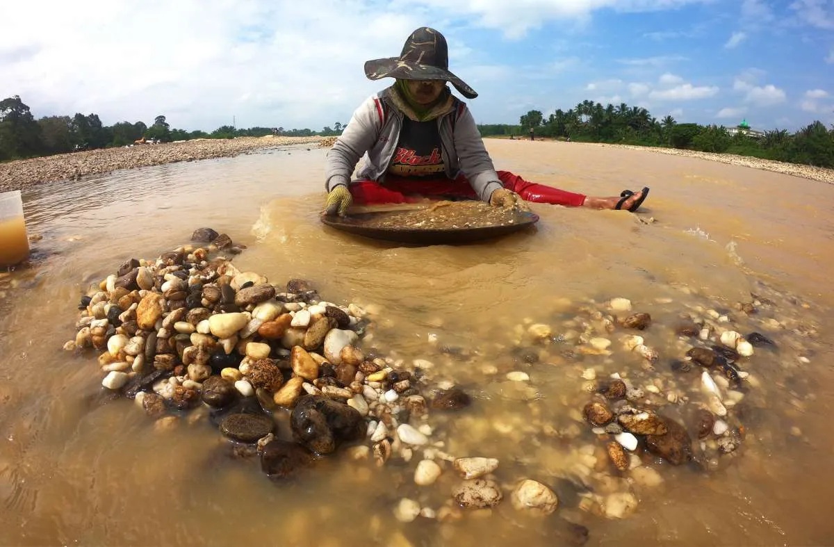 Usulkan Tambang Emas Rakyat Dilegalkan, MIND ID Bakal Serap Pasokan