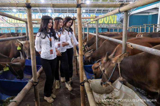 Iduladha 27 Mei 2026, In Harga Kambing/Domba & Sapi Kurban Menurut Lembaga Resmi