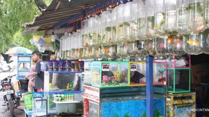Pasar Mangkura: Tujuan penggemar ikan hias (1)