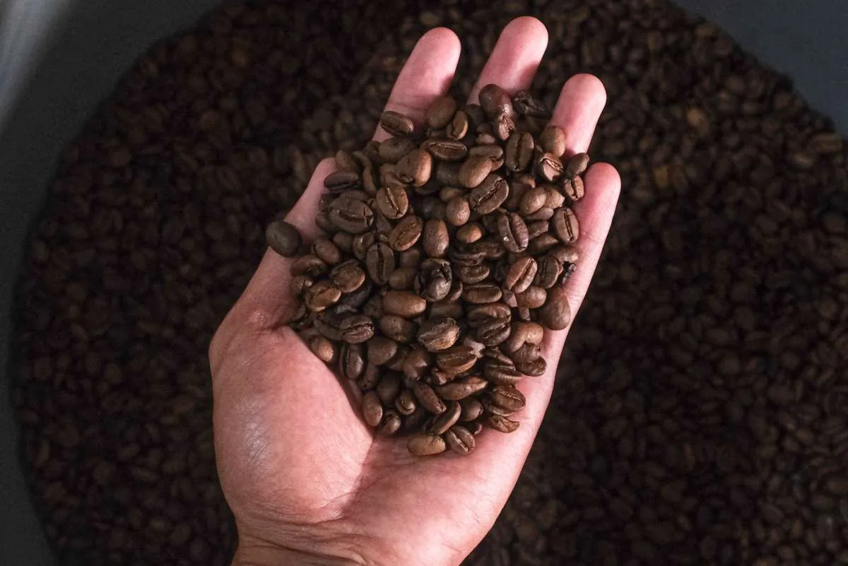 Sebanyak 57,6 Ton Kopi Robusta Subang Diekspor ke China Lewat Skema SRG