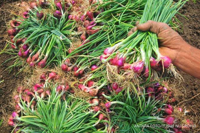 Harga Pangan Hari Ini Jumat (26/7) : Beras, Bawang Merah, Cabai Hingga Gula Turun