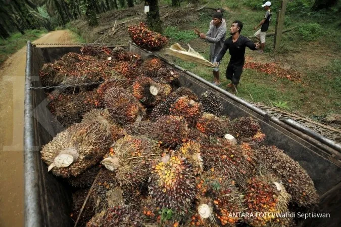 Indonesia to accelerate land certification