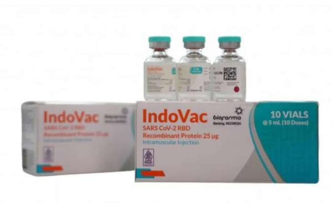 Vaksin COVID-19 IndoVac Sudah Dapat Izin Edar BPOM, TKDN Capai 89,84% 