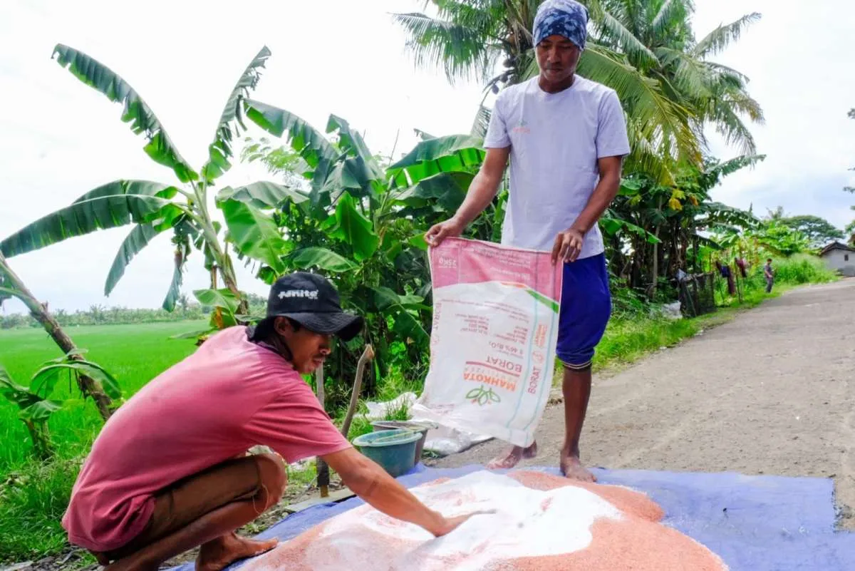 SNI Jadi Salah Satu Upaya Pemerintah Perkuat Daya Saing Industri Pupuk Nasional