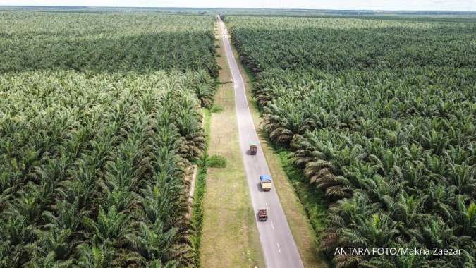 UU Anti Deforestasi Eropa Disahkan, Pengamat Core: Tidak Ganggu Pendapatan Negara